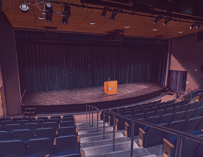 Entertainment Sector